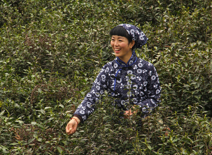 伊人app色淫直播 排行2